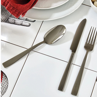 Flat PVD Flatware 5 Piece Setting - Black