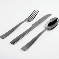 Flat PVD Flatware 5 Piece Setting - Black