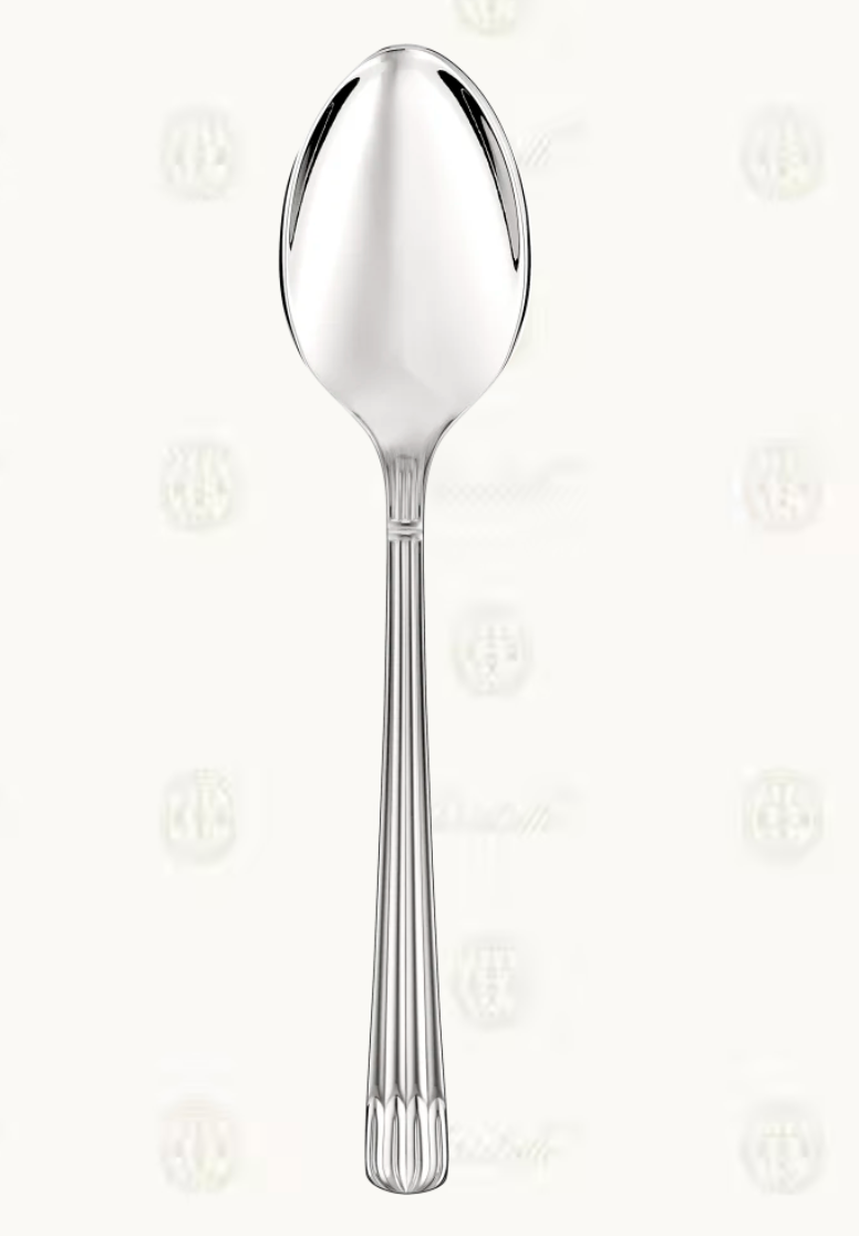 Osiris Stainless Steel Serving Spoon