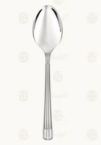 Osiris Stainless Steel Serving Spoon