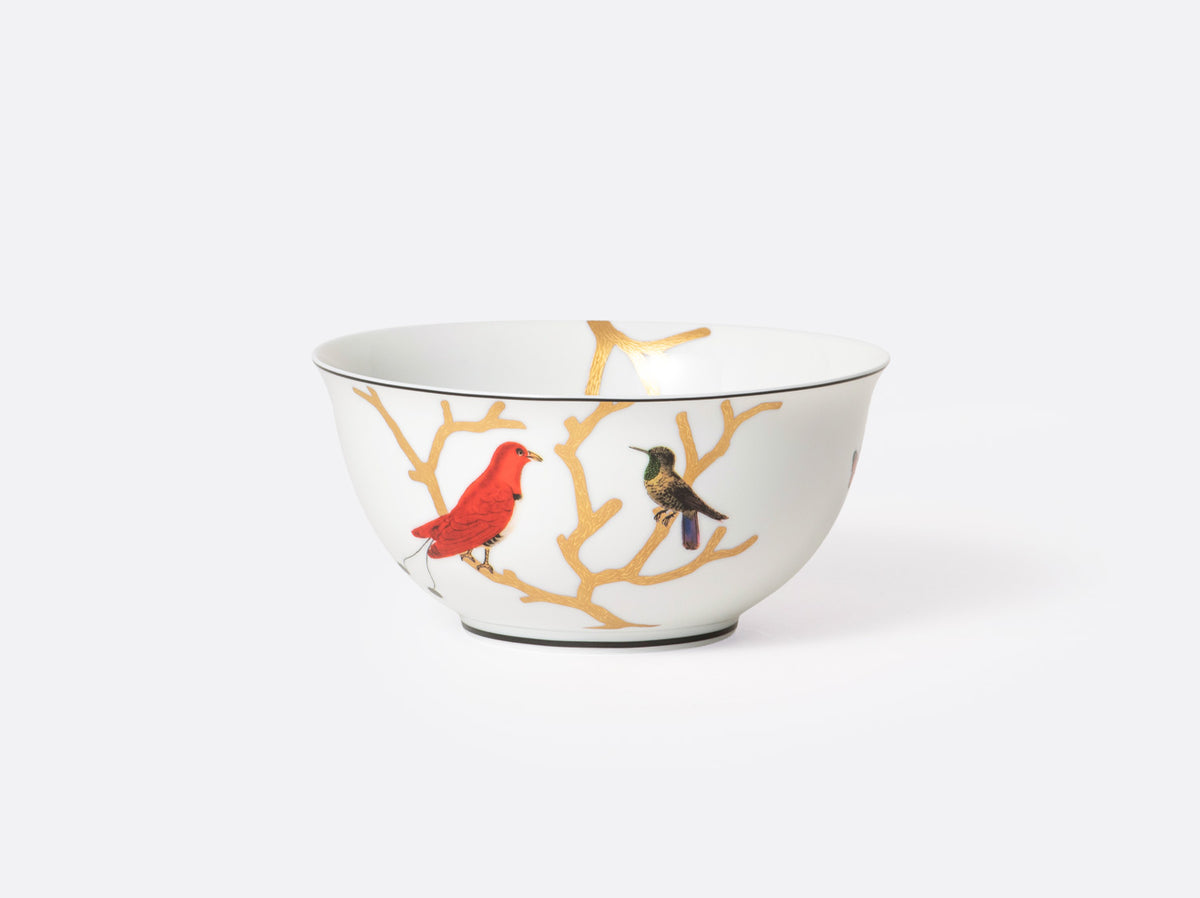 Aux Oiseaux Dinnerware