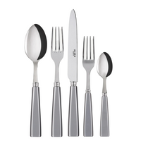 Icone Flatware 5 Piece Setting