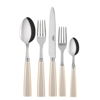 Icone Flatware 5 Piece Setting