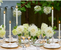 Clear Rib Gold Detail Trumpet Vase