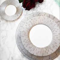 Infini Prestige Platinum Dinnerware