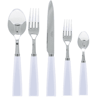 Icone Flatware 5 Piece Setting