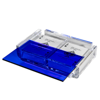 La Pinta Card Deck Transparent -