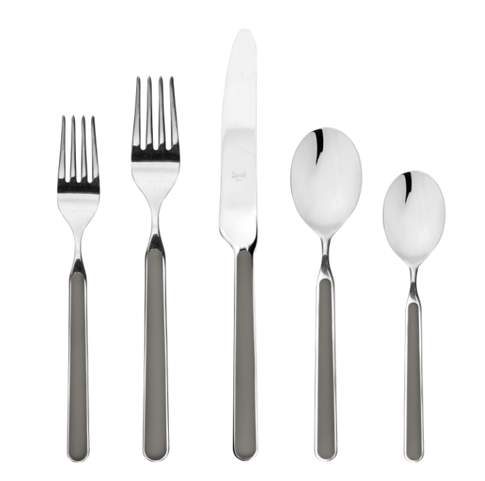 Fantasia Flatware 5 Piece Set- 16 Colors!
