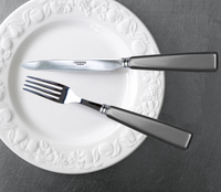 Icone Flatware 5 Piece Setting