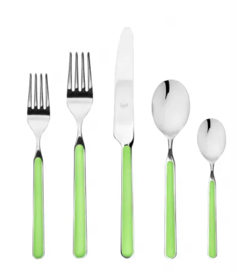 Fantasia Flatware 5 Piece Set- 16 Colors!