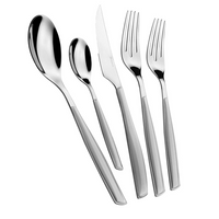 Glamour Colorful Flatware 5 Piece Set