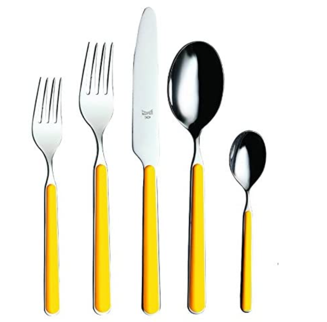 Fantasia Flatware 5 Piece Set- 16 Colors!