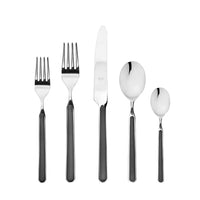 Fantasia Flatware 5 Piece Set- 16 Colors!