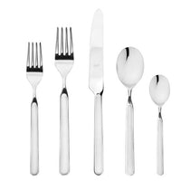 Fantasia Flatware 5 Piece Set- 16 Colors!