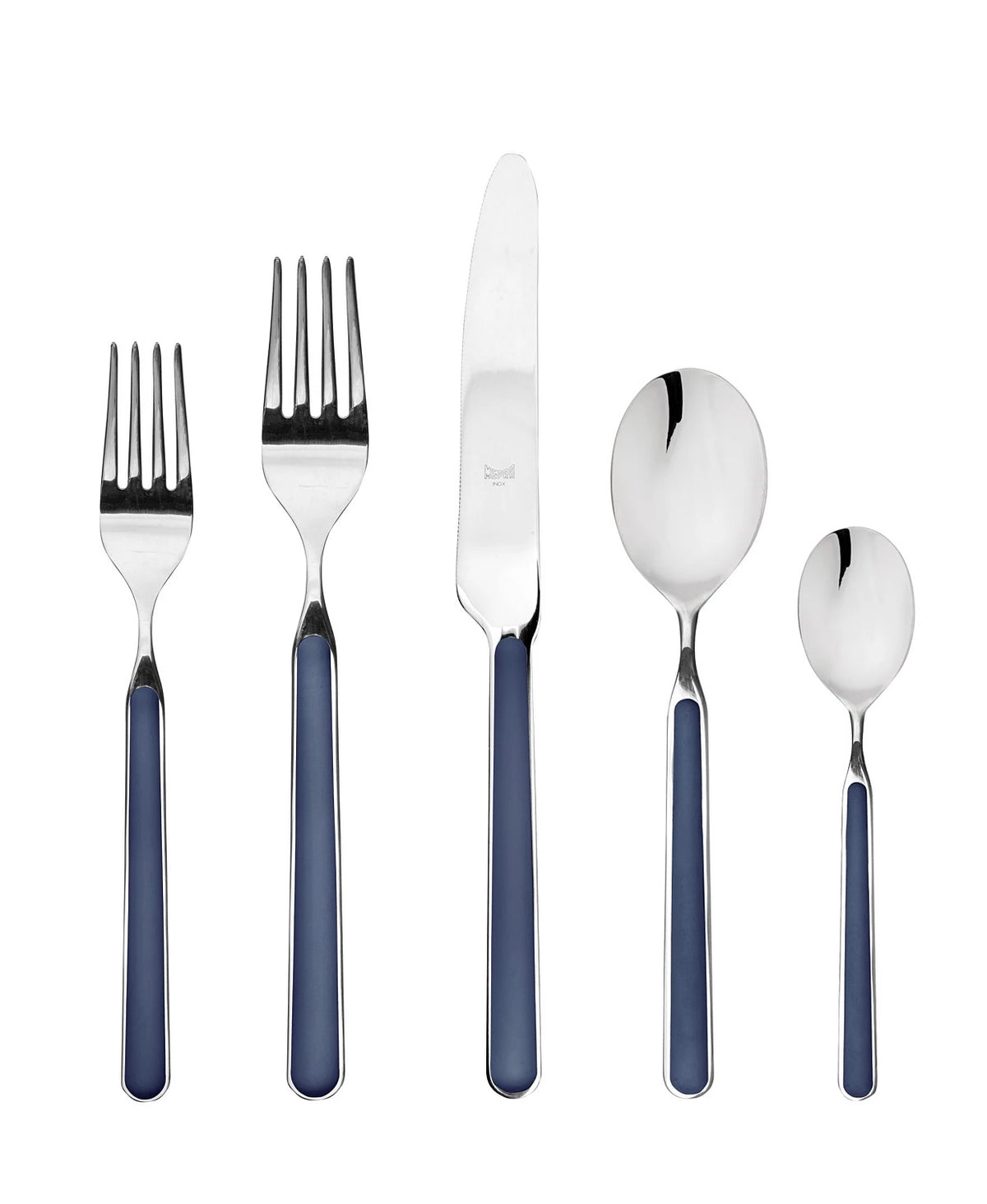 Fantasia Flatware 5 Piece Set- 16 Colors!