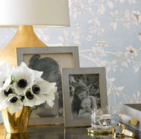 Classic Shagreen Frame -