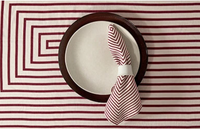 Terra Stone Dinnerware