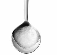 Versa Vegetable Spoon
