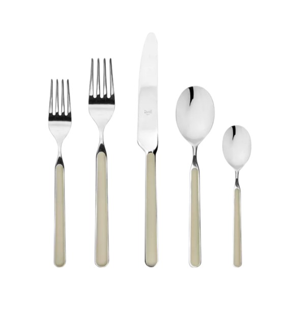 Fantasia Flatware 5 Piece Set- 16 Colors!