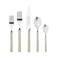 Fantasia Flatware 5 Piece Set- 16 Colors!