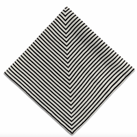 Concorde Napkin Black and Ivory Set of 4