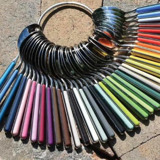 Fantasia Flatware 5 Piece Set- 16 Colors!