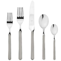 Fantasia Flatware 5 Piece Set- 16 Colors!
