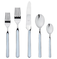 Fantasia Flatware 5 Piece Set- 16 Colors!