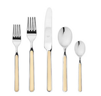 Fantasia Flatware 5 Piece Set- 16 Colors!