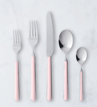 Fantasia Flatware 5 Piece Set- 16 Colors!