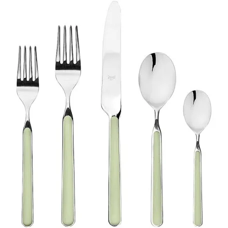 Fantasia Flatware 5 Piece Set- 16 Colors!