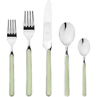 Fantasia Flatware 5 Piece Set- 16 Colors!