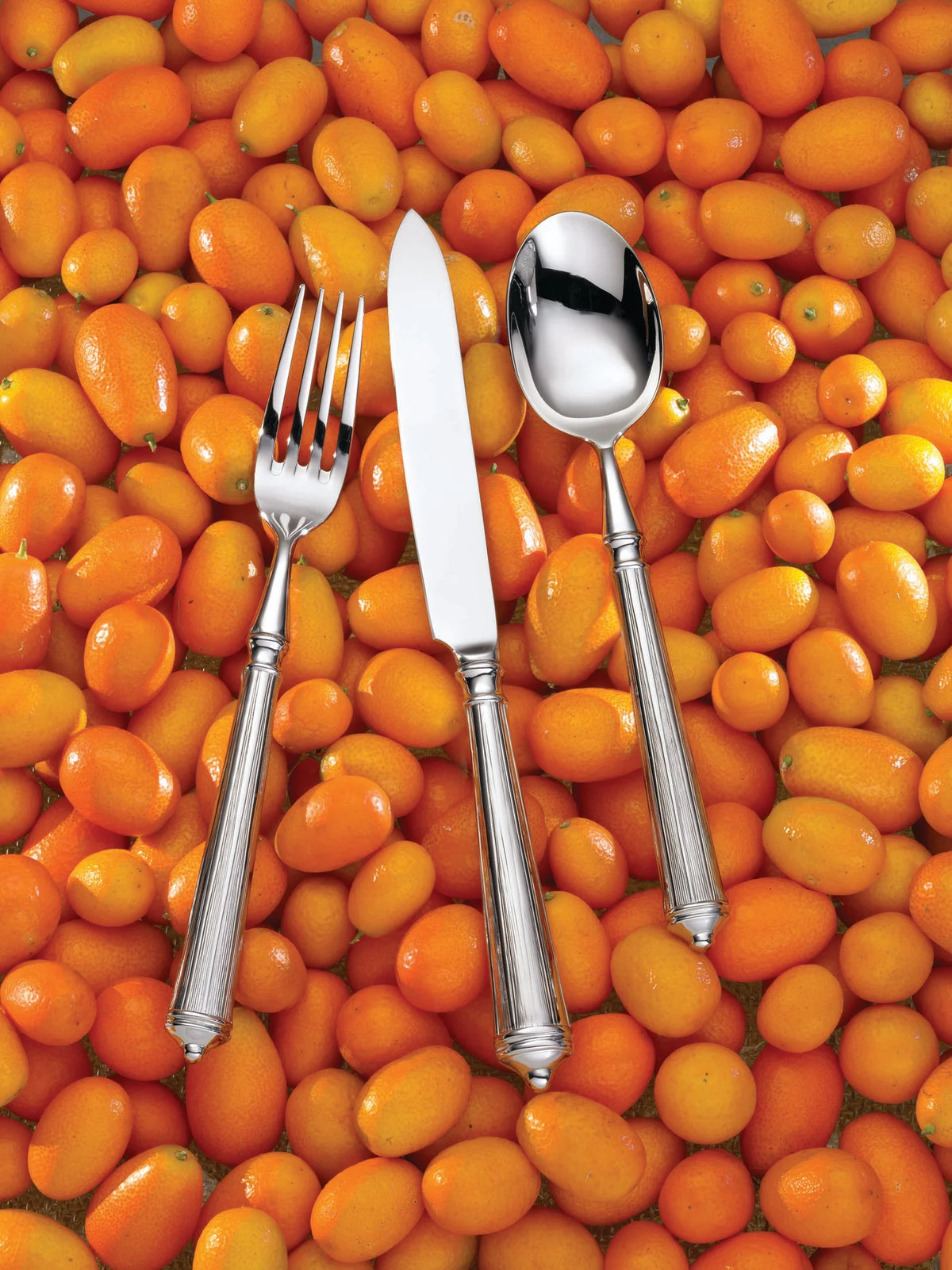 Rialto Flatware 5-Piece Setting