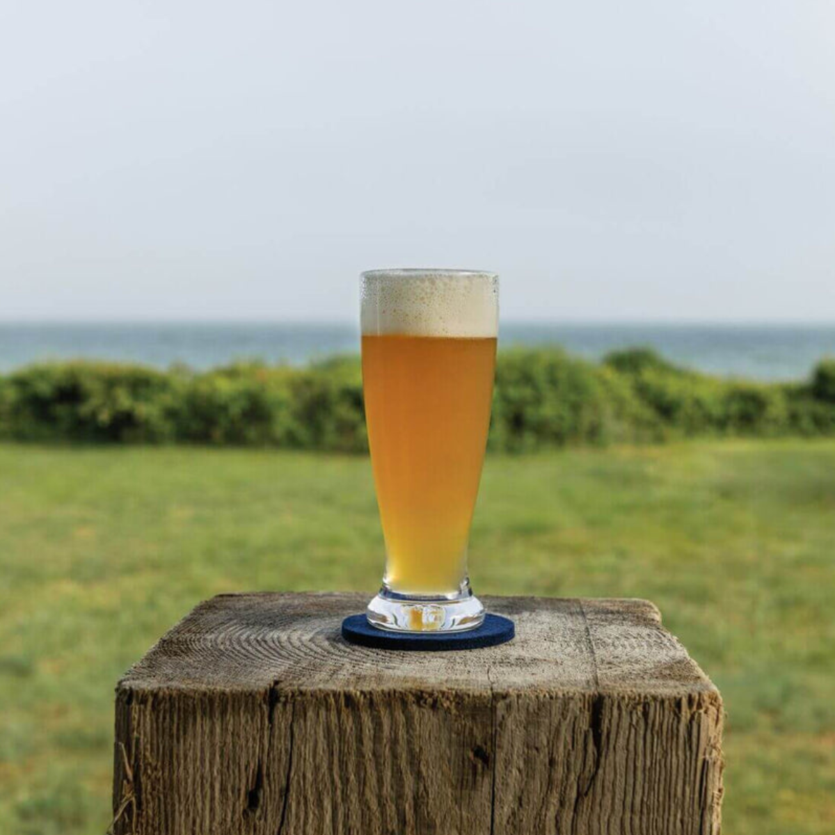 Ascutney Pilsner Glass