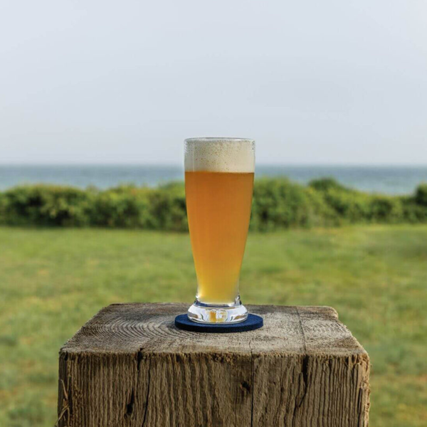 Ascutney Pilsner Glass