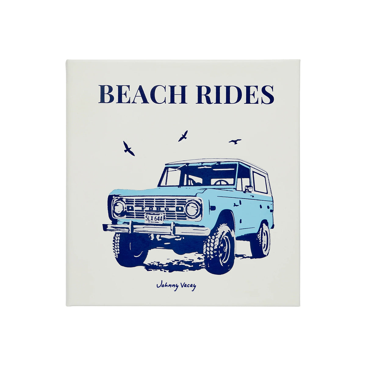 Beach Rides Leather Book