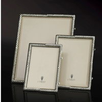 Deco Twist Platinum Frame