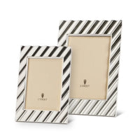 Maxime Frame Platinum -