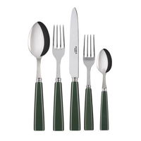 Icone Flatware 5 Piece Setting