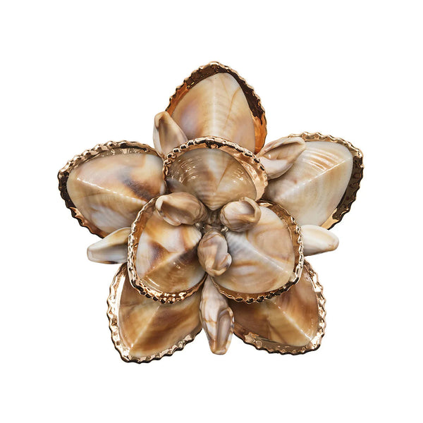Beachcomber Napkin Ring Set of 4