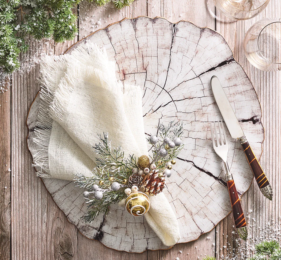 Fringe Napkin Set of 4 White & Silver