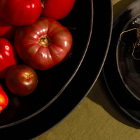 Terra Iron Large Serving Coupe Bowl