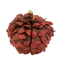 Pinecone Rust Pumpkin Small