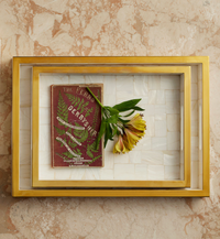 Cassandra Mother of Pearl and Gold Tray -