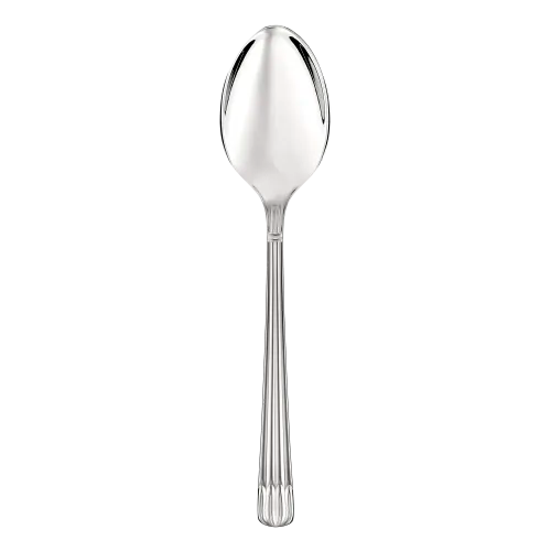 Osiris Stainless Steel Serving Spoon