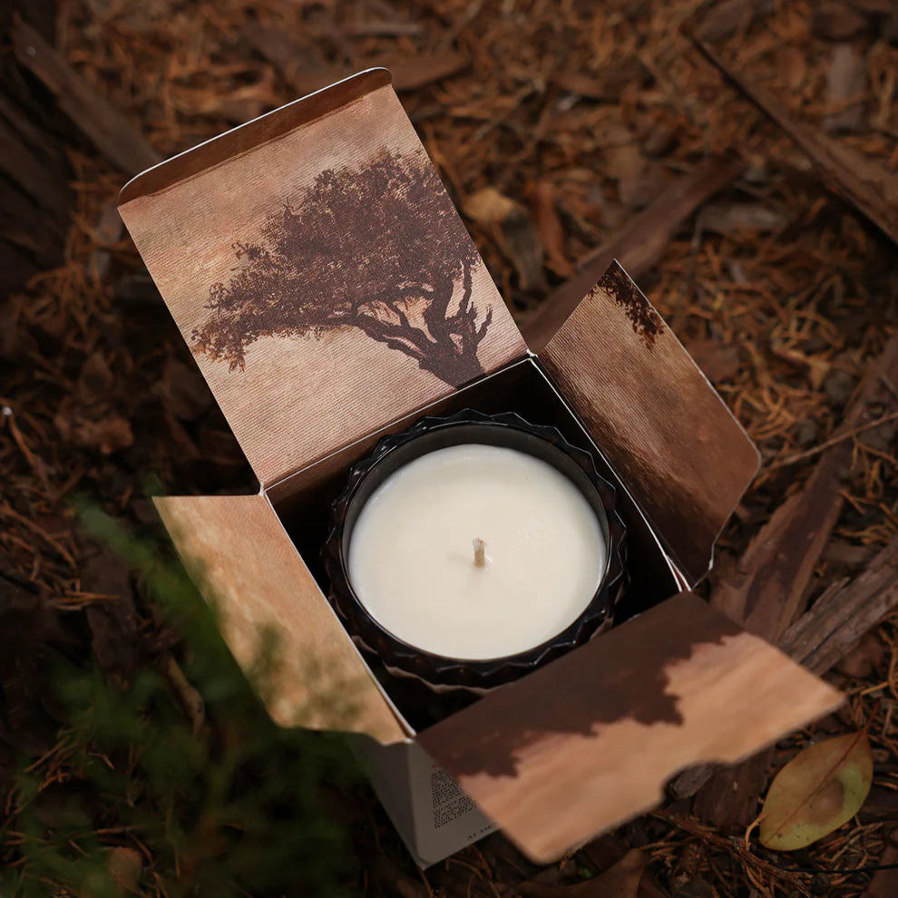 Willow Candle