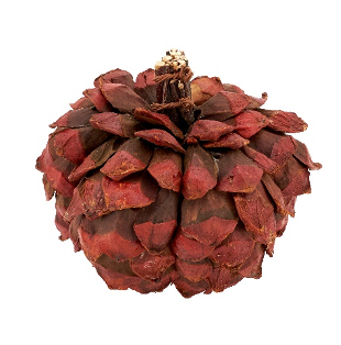 Pinecone Rust Pumpkin Small