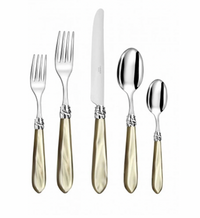 Diana Flatware Five Piece Setting - Horn