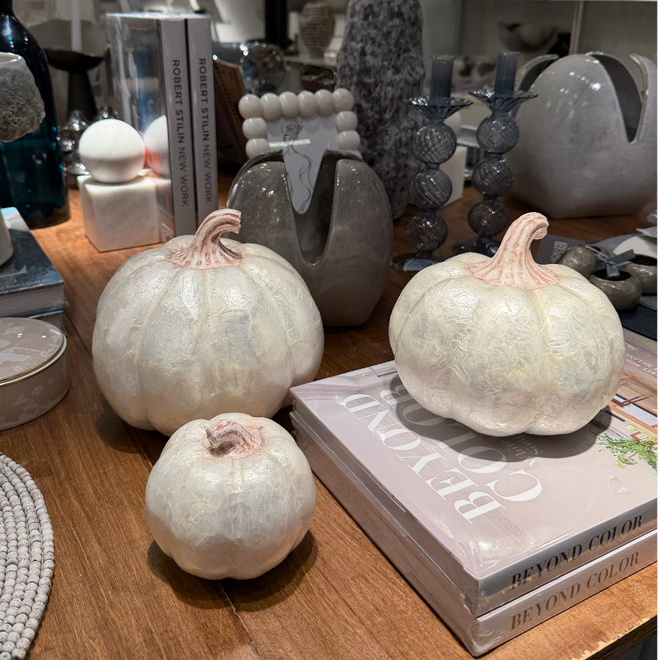 Three white Capiz Pumpkin White shells with ridged stems arranged on a wooden table among decorative books and objects, creating an elegant décor centerpiece.