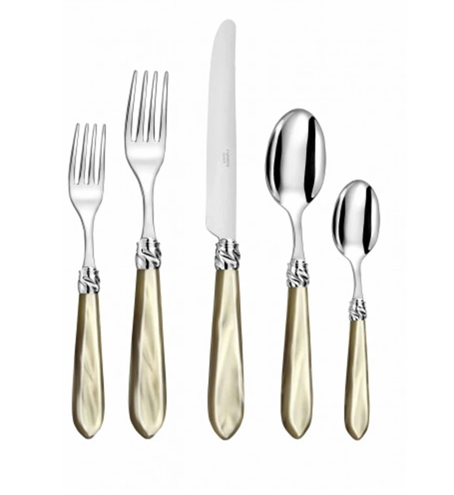 Diana Horn Flatware 5 Piece Setting